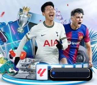 五大体育板块覆盖,从比分到直播全覆盖
